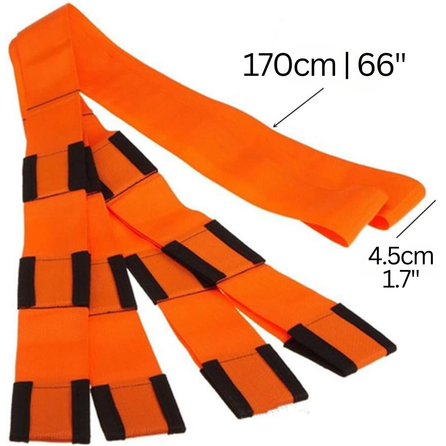 buy 2 person moving system straps